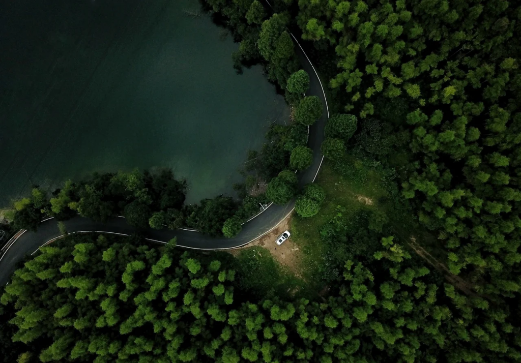 A single car seen from a bird's view, driving through a forest.